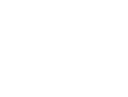 Mayhem Hunt Logo